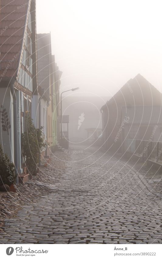 Auf holprigem Kopfsteinpflaster durch die Straßen Pflastersteine Wege & Pfade Nebel Morgendämmerung Menschenleer dörflich Holperstrecke Holperstraße holperig