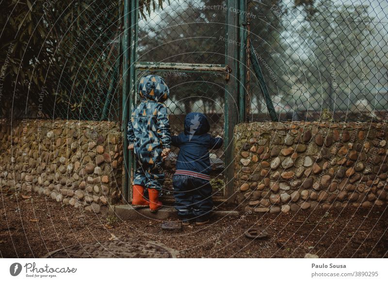 Bruder und Schwester beobachten Enten im Park Geschwister Familie & Verwandtschaft Kind Kindheit Rückansicht Freude Gefühle Junge Außenaufnahme Kleinkind