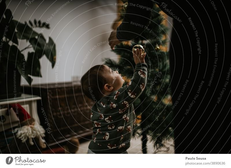 Mutter und Sohn schmücken den Weihnachtsbaum dekorierend Weihnachten & Advent Weihnachtsdekoration festlich Weihnachtsstern Tanne Winter Dekoration & Verzierung