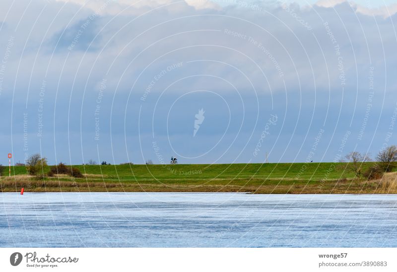 Blick über die Elbe bei Magdeburg auf die östliche Uferseite mit Deich und Radlern Fluss Flussufer Herbst bedeckter Himmel Radfahrer Radtouristen Farbfoto