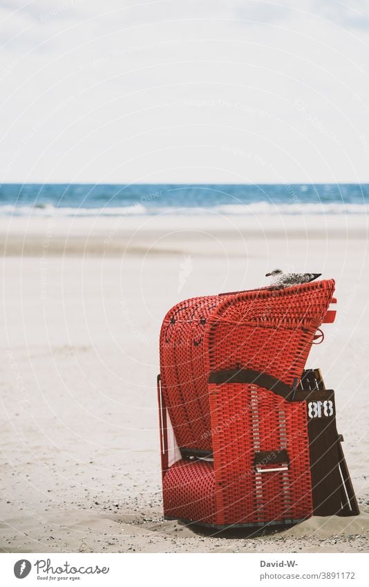 Strandkorb mit Möwe am Strand Ferien & Urlaub & Reisen ruhe Meer Nordsee Ostsee Erholung Küste