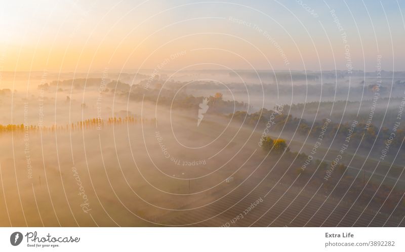 Schuss über der Landschaft, mehreren bebauten Parzellen und einem Teil des Waldes oben Antenne landwirtschaftlich Ackerbau anbaufähig Herbst Borte Schutzdach