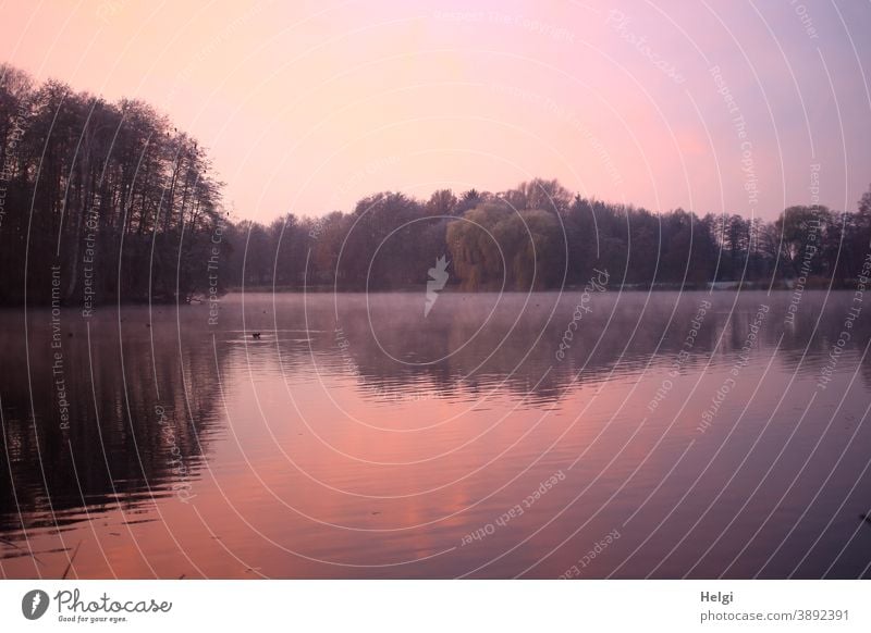 morgens am See - Morgenröte am Himmel und Bäume spiegeln sich im See, auf dem Wasser liegt leichter Nebel Sonnenlicht Spiegelung früh Sonnenaufgang Natur