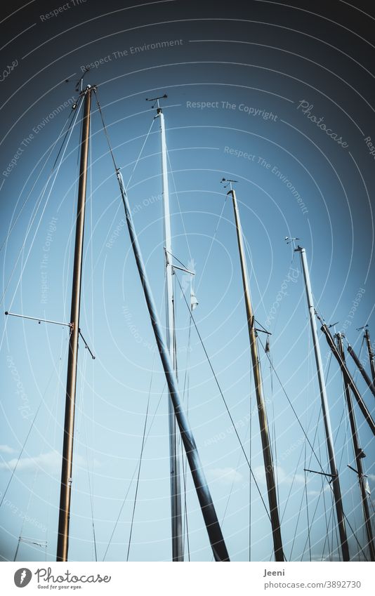 Blauer Himmel im Hafen | Masten der Segelboote ragen hoch hinaus Marina blau Segeln Boot Meer See Wolken nebeneinander maritim Ufer anlegen Segler Anleger