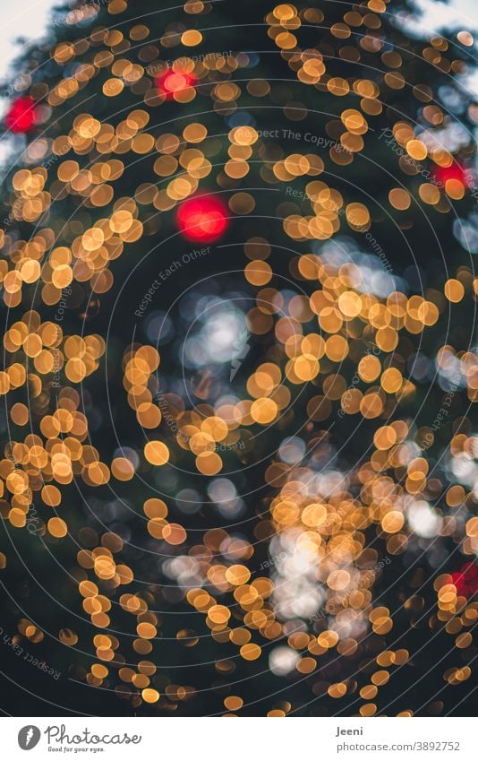 Großer Weihnachtsbaum auf einem Marktplatz | verschwommen glitzert es gelb und rot | Bokeh aus tausenden Lichtern groß Weihnachtsmarkt gold Lichterkette