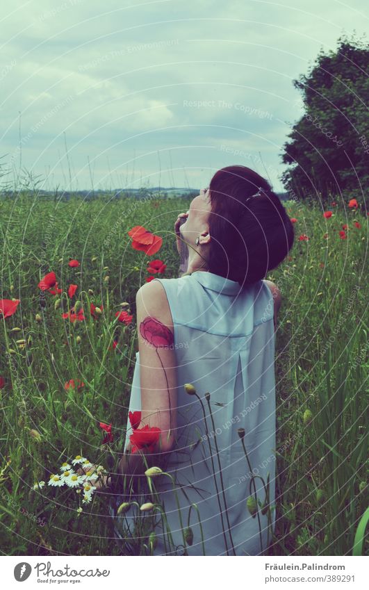 verwurzelt VI. feminin Junge Frau Jugendliche Erwachsene Arme 1 Mensch 18-30 Jahre Natur Landschaft Wetter Pflanze Blume Sträucher Nutzpflanze Wildpflanze Feld