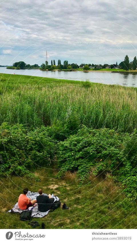 *grüngras Picknick Picknickkorb picknickdecke im Grünen Grünfläche grünlich ufer Uferlinie Elbe Elbufer Natur natürlich Naturschutzgebiet Naturliebe