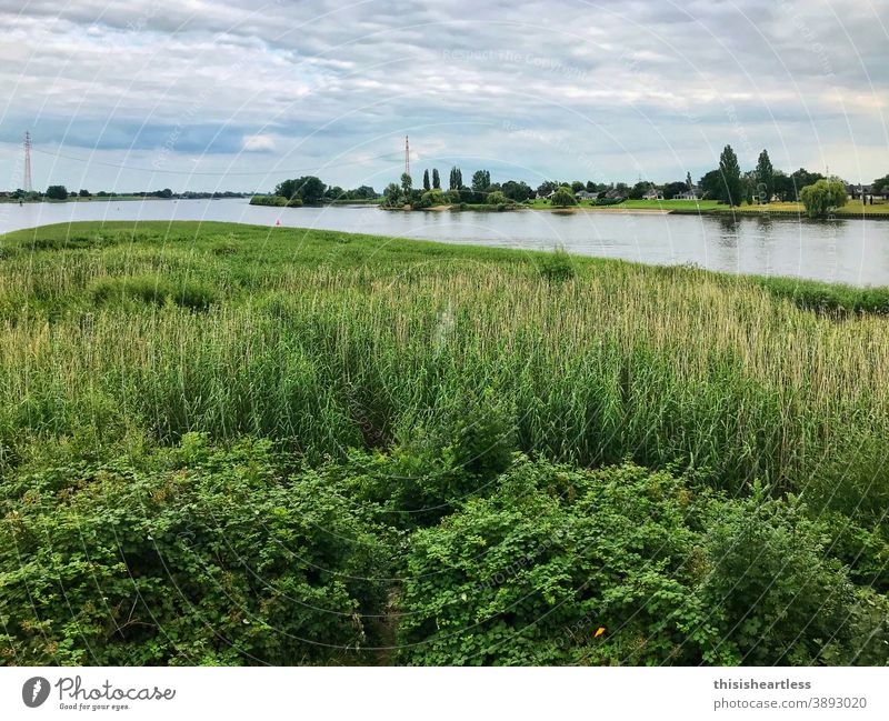 *grasgrün Elbe Seitenkanal Elberadweg Wasserstraße Gabelung ufer Uferlinie Uferbefestigung Gras Natur Naturschutzgebiet Naturliebe Naturerlebnis draußen