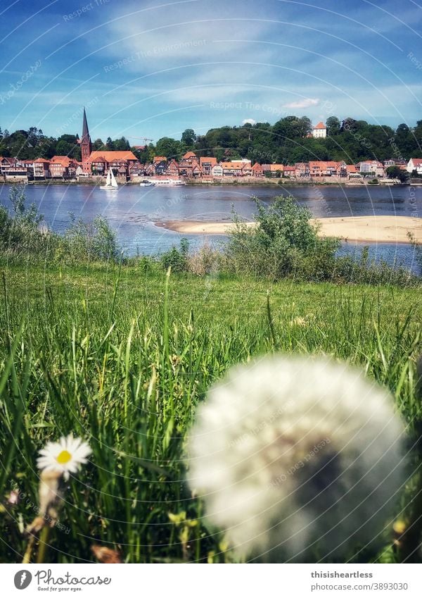 (F)lauenburg Elbe Seitenkanal Elberadweg Ausflug Wasser Fluss Flussufer Flußbett fließen fliessend Fließgewässer fließendes wasser Segelboot Segelschiff Insel