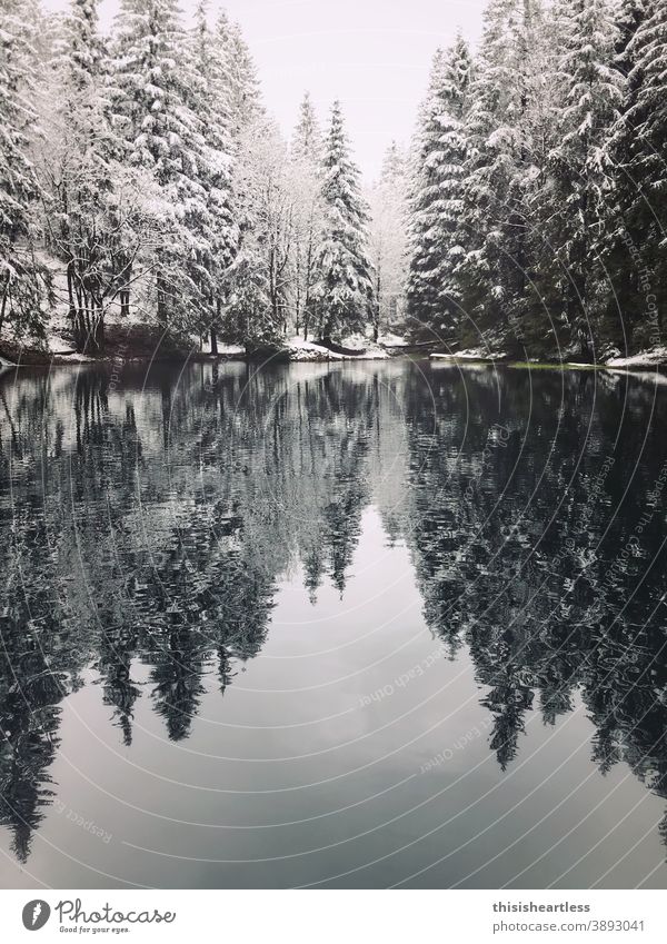 zu kalt zum Baden!!! Wasser Wasseroberfläche Steg stufen Treppe arschkalt eiskaltes Wasser See Seeufer Waldsee Teich Baum Bäume Bäume im See Badestelle