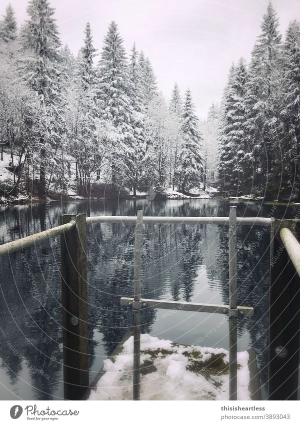 zu kalt zum Baden? Badestelle Badeplattform badeplatz See Teich Teichufer Wald Waldsee Waldlichtung Waldrand Wasser Steg Treppe stufen eiskaltes Wasser