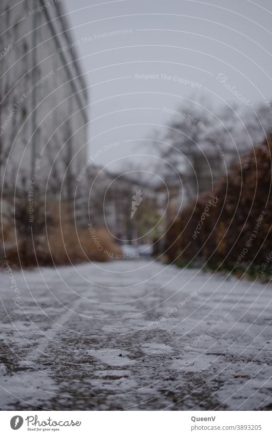 Pfad im Schnee in der Stadt mit Plattenbauten Frost NAchbarschaft Fassade Menschenleer Häusliches Leben Außenaufnahme Architektur Hochhaus Haus Wohnung Gebäude