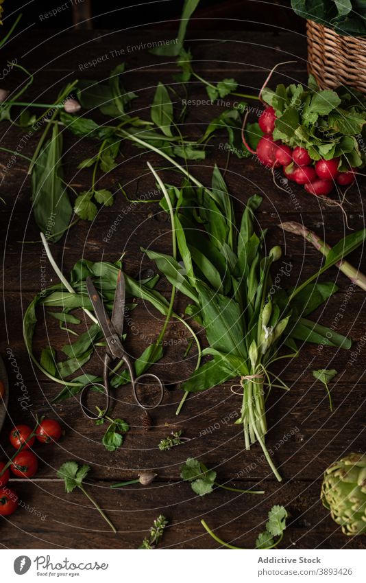 Frische Kräuter und Gemüse auf dem Tisch Kraut Salatbeilage grün Blatt Lebensmittel verschiedene organisch natürlich Gesundheit frisch Rettich Tomate roh essbar