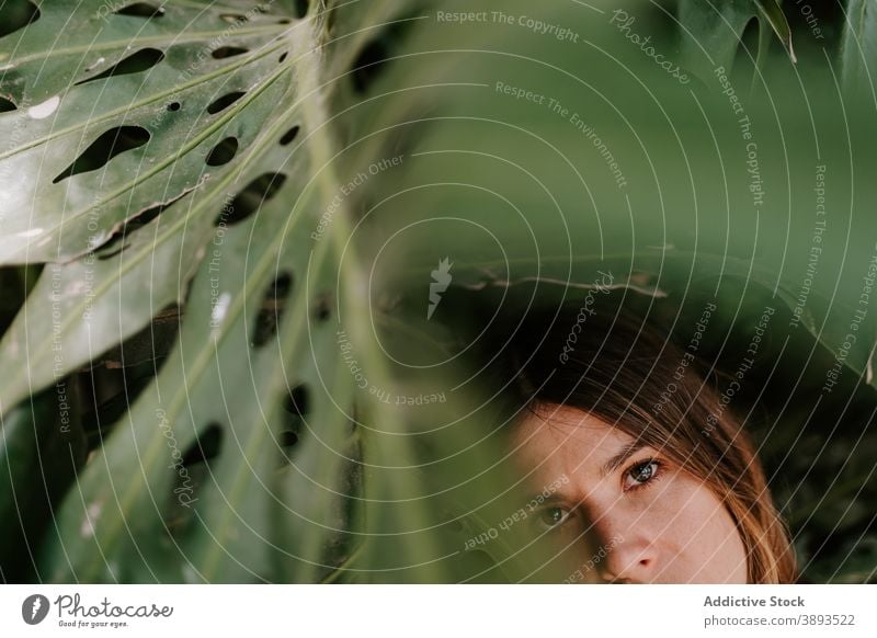 Frau im Park mit monstera Pflanzen Fensterblätter tropisch Blatt Gelassenheit Angebot Sommer Natur jung sich[Akk] entspannen Harmonie Windstille Garten ruhig