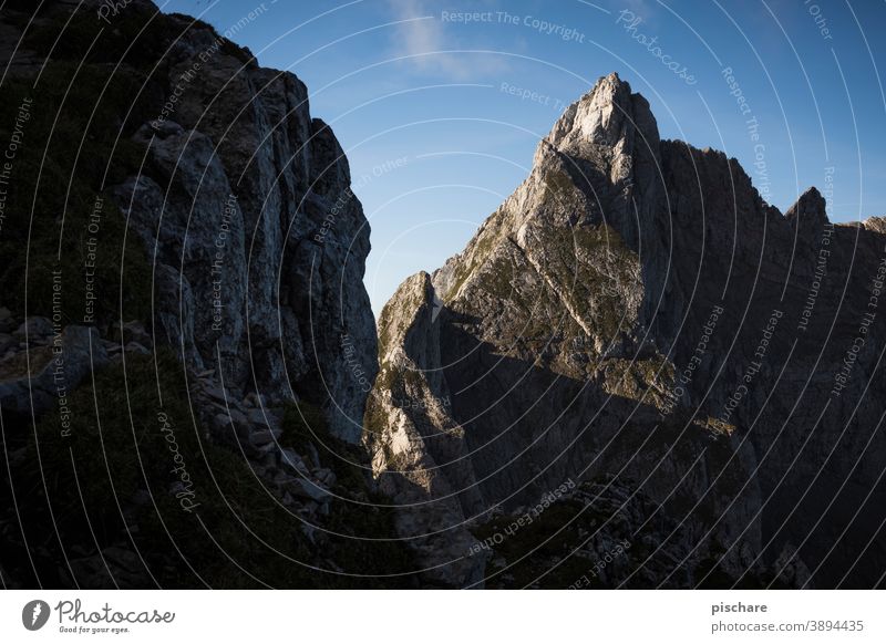 Berggipfel Gipfel Grimming Fels Natur Landschaft Berge u. Gebirge Alpen Außenaufnahme Felsen Farbfoto Umwelt Tag