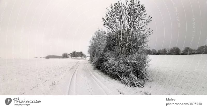 Ländliche Winterlandschaft mit frisch gefallenem Schnee Hintergrund schön Schönheit Ast Gebäude Weihnachten kalt Land Landschaft driften Fußweg Wald Frost