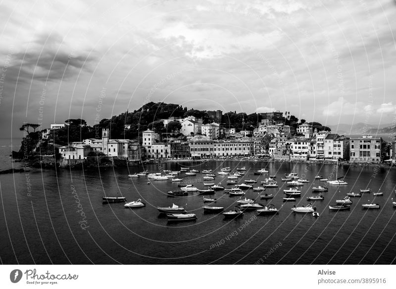 Porträt von Sestri Levante Bucht Stille reisen MEER Windstille Natur eine Küste Ufer Ansicht Strand Tourist Wasser Urlaub Freizeit sich[Akk] entspannen schwarz