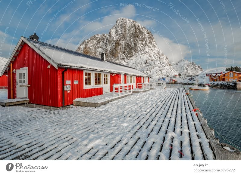 home sweet home Hamnøy Lofoten Norwegen Skandinavien Norden Nordisch Hütte Haus rot Winter Schnee Berg Holzsteg Steg Fjord Reine Reinefjorden hafen Rorbuer