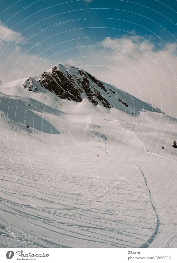 Südtiroler Skigebiet | Ratschings Erholung südtirol italienisch Natur Skifahren snowboarden Wintersport Landschaft Winterlandschaft Kälte Schafe Sport Tourismus