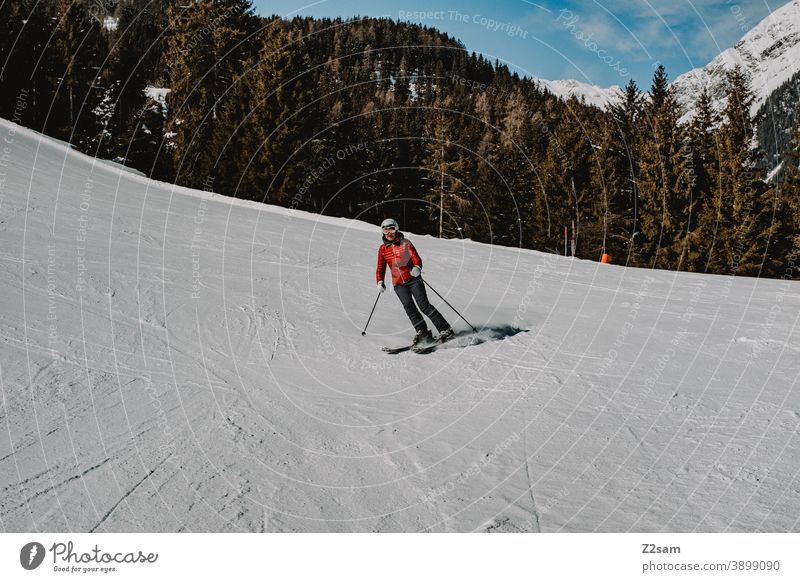 Skifahrerin in Ratschings Südtirol südtirol Skifahren Wintersport Berge Schafe alpenländisch Frau Steuerruder Sport Wald Landschaft Grün grau Kälte italienisch