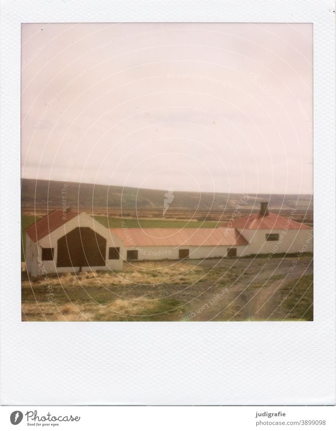 Isländisches Haus auf Polaroid Hütte Island Schuppen Holz Tor Eingang Menschenleer Farbfoto Außenaufnahme Gebäude Einsamkeit Landschaft Natur Stall Schafstall