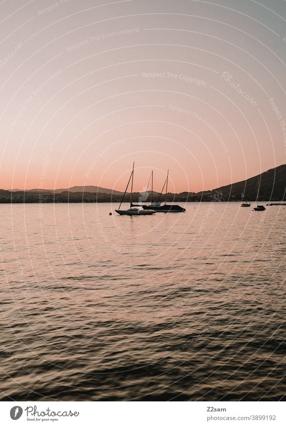 Bodensee Abendstimmung bodensee abendstimmung sonnenuntergang schiffe segelboote ruhe entspannung erholung ferien urlaub sommer Natur Wasser Außenaufnahme