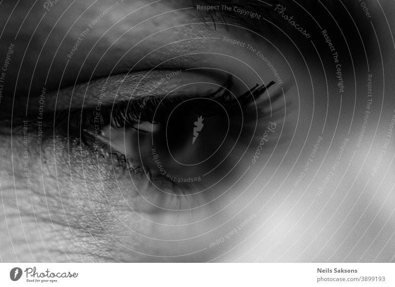 Weibliches Auge mit langen Wimpern in Nahaufnahme menschliches Auge attraktiv schön Schönheit schwarz blau braun Kaukasier Sauberkeit schließen Farbe Kosmetik