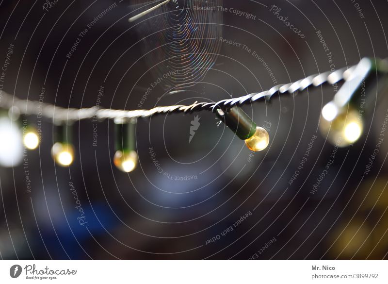 Lichterkette incl. Spinnennetz Glühbirne dunkel Lampe Beleuchtung Nacht Technik & Technologie Elektrizität Kabel Dämmerung Abend Dekoration & Verzierung