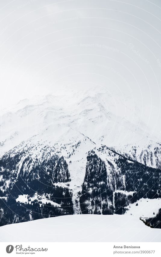 Schöne Aussicht auf das Tal im Skigebiet in den Schweizer Alpen Verbier Resort Winter Ansicht weiß blau Hintergrund Schnee Wald Berge u. Gebirge Berghang Urlaub