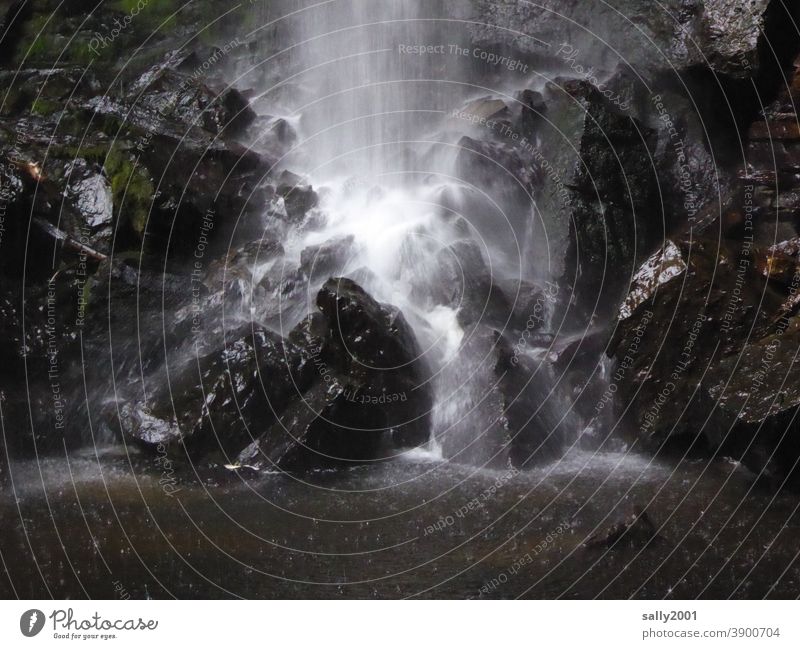 unten am Wasserfall kühl Stein Felsen Fluss Natur Berge u. Gebirge Schlucht fließen nass tosen rauschen Urelemente wild Außenaufnahme Kraft Kraft der Natur