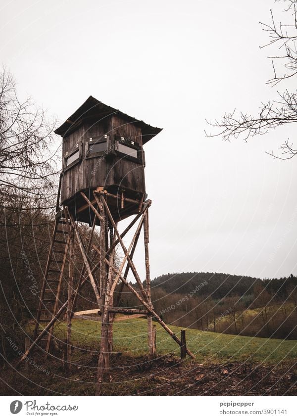 Jäger Hochsitz Jagd Natur Landschaft Außenaufnahme Farbfoto Himmel Feld Wald Baum Holz grün Wolken Aussicht Wiese Leiter Turm Ferne ruhig Einsamkeit Hütte