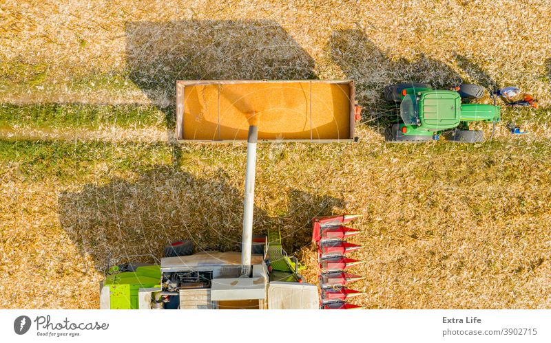 Obige Ansicht eines Mähdreschers, der frisch geerntetes Getreide zum Transport in einen Anhänger umlädt. oben Antenne landwirtschaftlich Ackerbau Ladung Müsli