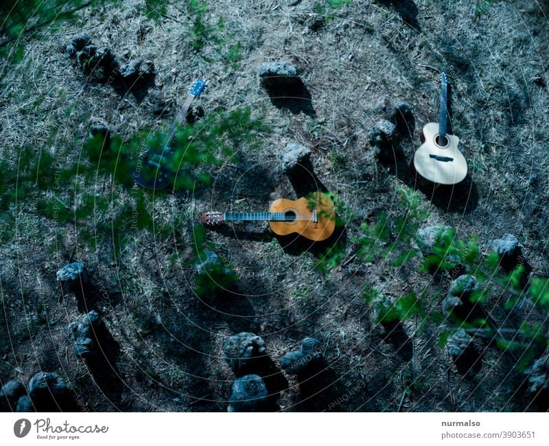 Play in the wooden Musik wald gitarren analog aukustisch seiten klang hobby grün nachhaltig hausmusik musiker strassenmusiker aukustikgitarre freiheit