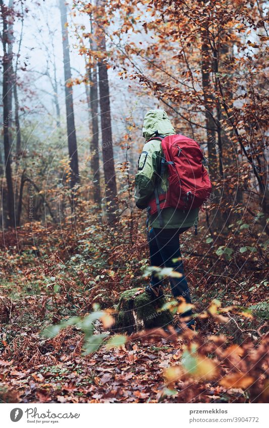 Frau mit Rucksack wandert an einem herbstlich kalten Tag durch den Wald aktiv Aktivität Abenteuer Herbst Backpacker Ausflugsziel genießen Erkundung erkunden