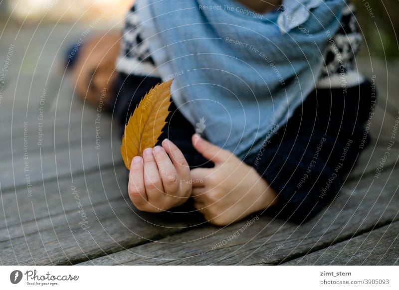 Kind mit Blatt im Herbst Herbstlaub Hände kleine Hände liegen draußen Kindheit Herbstgefühle Hand Kinderhände Natur sammeln Außenaufnahme