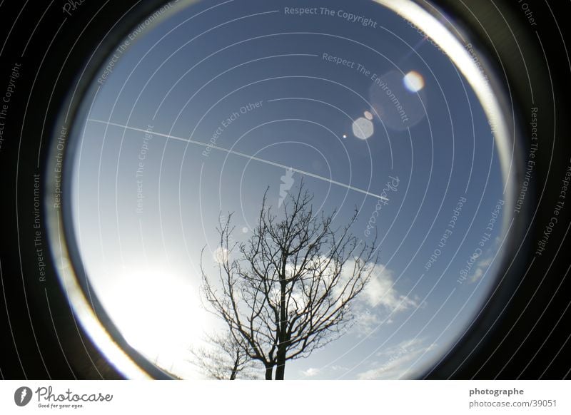 Baum, Himmel, Flugzeug Streifen Fischauge blau Kreis