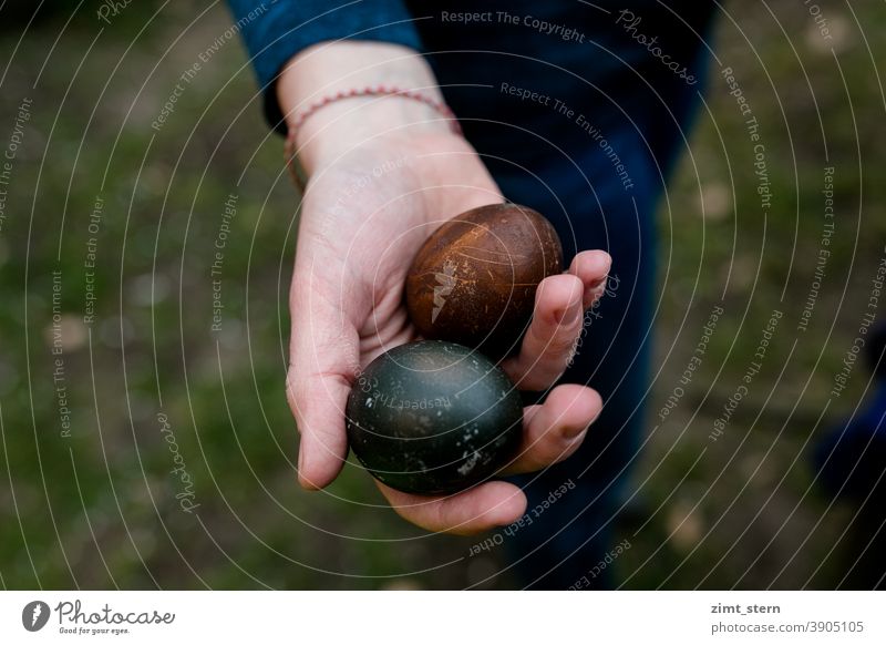 Mit Pflanzen gefärbte Eier Ostern Eier färben plantbased waldorf Pflanzenfarbe natural dying Osterei Ostereiersuche gekochte Eier bunte Eier