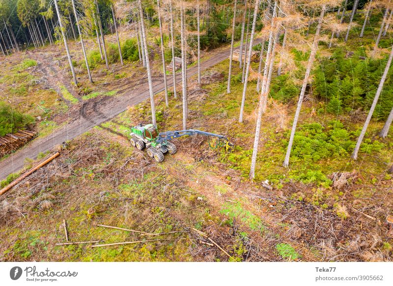 Der Harvester von Oben herbst winter holz holzfällen harvester natur moderne maschine bäume