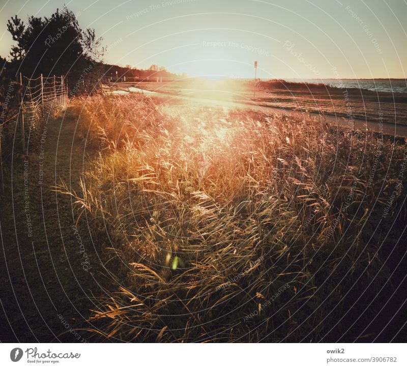 Stille Küste Gegenlicht Sonnenlicht Sonnenungergang Ostsee Außenaufnahme Farbfoto Strand Himmel Natur Landschaft Menschenleer Wasser Sonnenstrahlen Meer