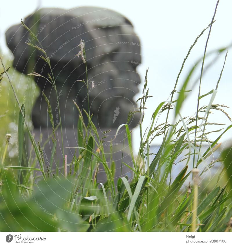 Karl-Marx-Statue unscharf hinter Gräsern aus der Froschperspektive Gras Chemnitz Politik Staat Kapitalismus Marxismus Denkmal Wahrzeichen Karl Marx Sozialismus