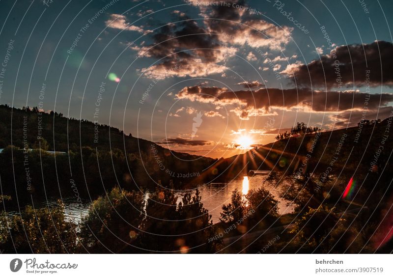 sonnenlichter moselabend Sonnenstern Moseltal Mosel (Weinbaugebiet) Flussufer Freiheit Fernweh Wasser Reflexion & Spiegelung Weinberg Berge u. Gebirge