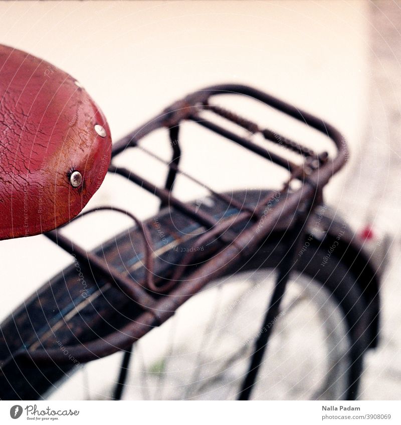 Velosattel in braun analog Analogbild Farbfoto Sattel Fahrrad Rad Hinterrad Niete Gepäckträger weiß schwarz Schutzblech abgasfrei Speichen Verkehr Radfahren