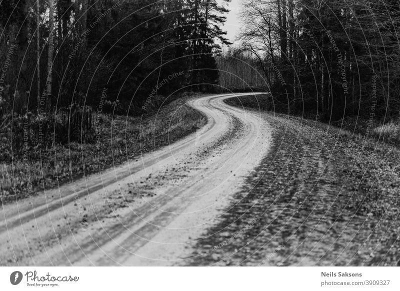 Schotterstraße im lettischen Wald mit dünner Schneeschicht Einsamkeit Entfernung Straße Weg Winter Landschaft Natur reisen Umwelt Textfreiraum malerisch Reise