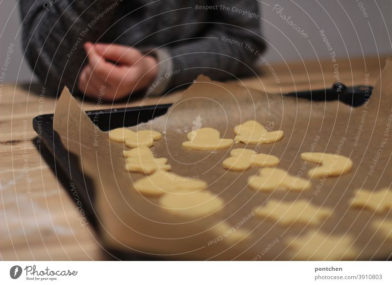 Ein Kleinkind sitzt vor einem Backblech mit ausgestochenen Plätzchen. Vorweihnachtszeit, backen, Tradition ausstechen weihnachten kleinkind hand backblech