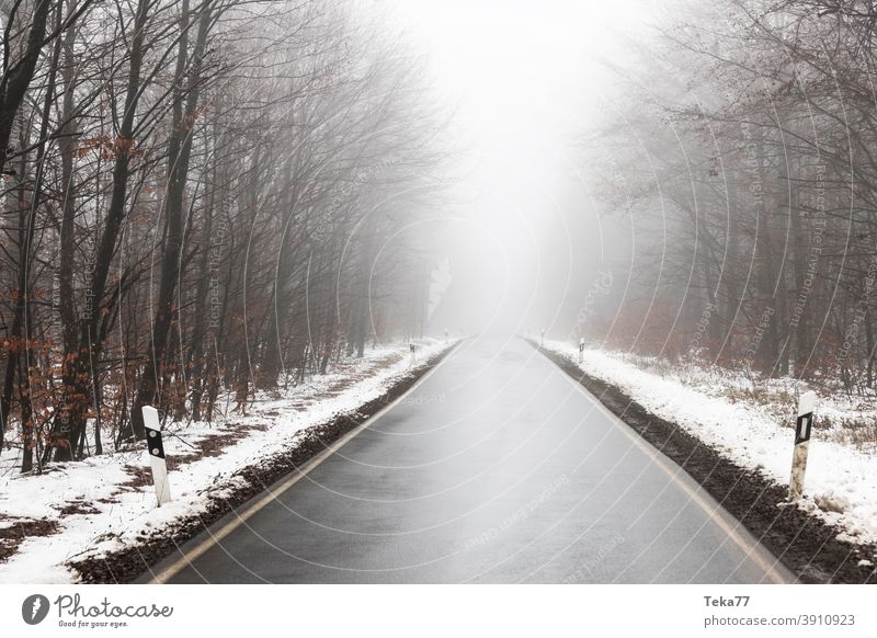 eine leere, neblige Winterwaldstraße Nebel Straße neblige Straße neblige Winterstraße Wasser Winternebel Waldstraße winterliche Straße Gefahr eisig taffic