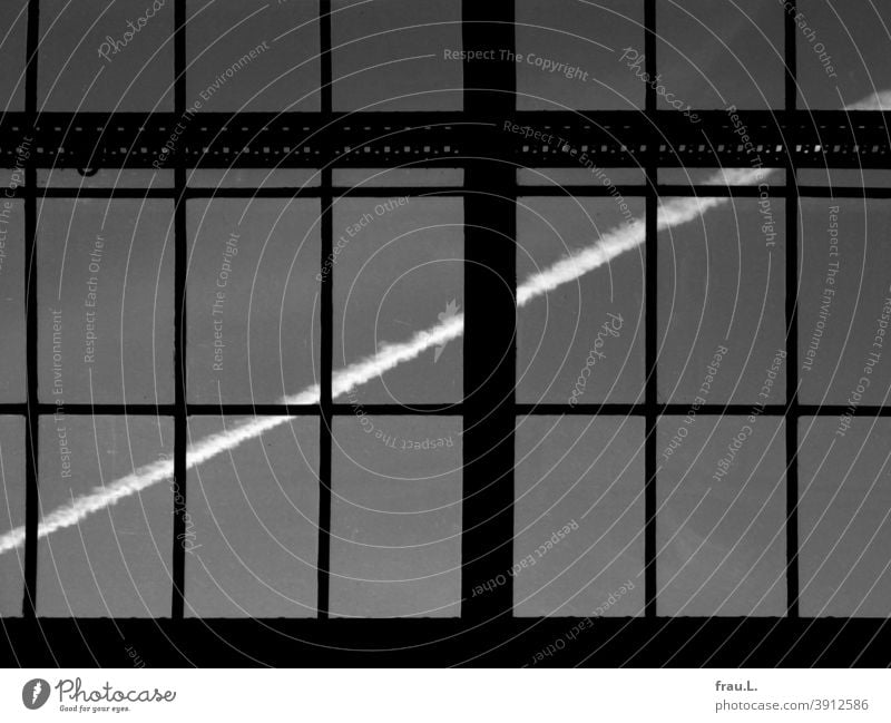 Es ist doch ein Kreuz mit den Chemtrails ... Kondensstreifen Himmel Klimaerwärmung Luftverkehr Flugzeug Fenster Verschwörungstheorie