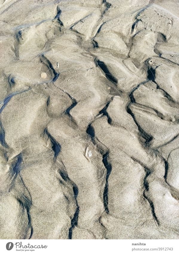 Nahaufnahme von Stranddünen Düne Sand Sanddüne wüst Textur organisch schließen abschließen merkwürdig Formular einfach keine Menschen niemand Erosion natürlich