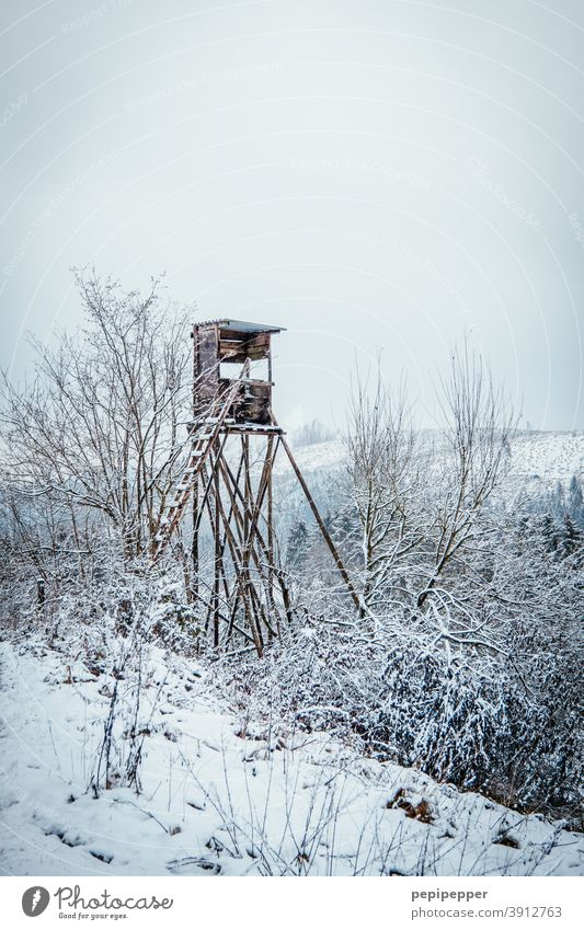 Hochsitz Jagd Jäger Natur Landschaft Außenaufnahme Farbfoto Winter Eis Aussicht Holz Wald Baum Feld Menschenleer Leiter Umwelt Tag Horizont Wolken Himmel