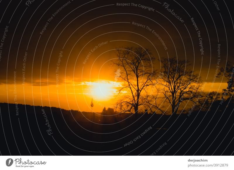 Ein Tag geht zu Ende Sonnenuntergang Himmel Abend Abenddämmerung Landschaft Natur Horizont Licht Außenaufnahme schön orange Sonnenlicht Sommer Menschenleer