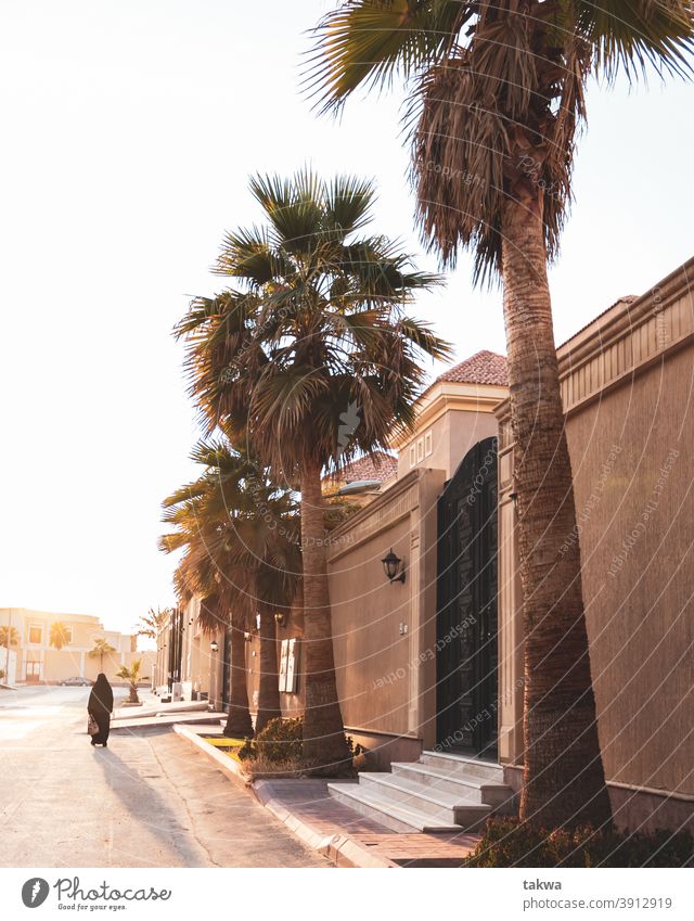 Straßenfotografie in KSA ksa Leben riyadg Natur Abenteuer Saudi-Arabien Tourismus wüst Reise Urlaub Naher und Mittlerer Osten Düne Ferien & Urlaub & Reisen Sand